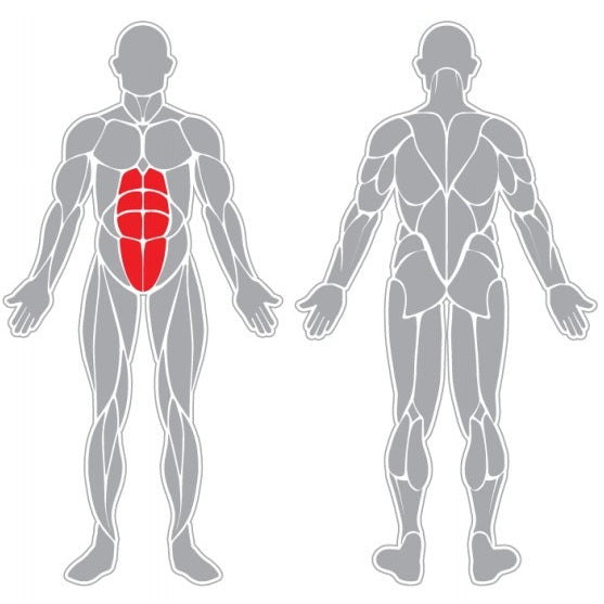 Banca Abdominales Signet Signet