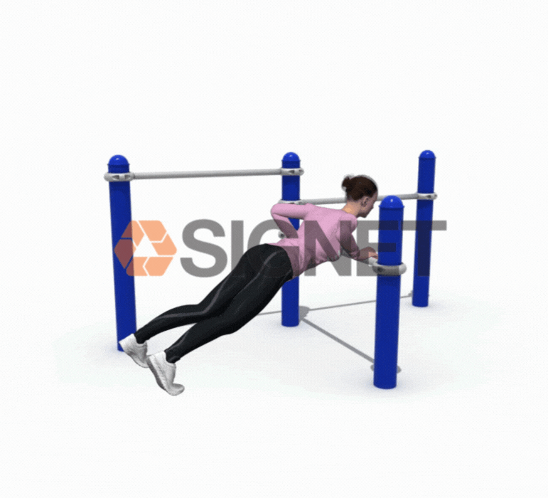 Barra de Flexiones - Signet