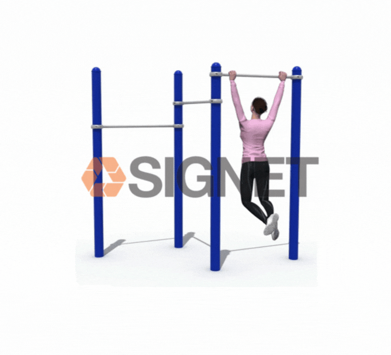 Barras Altas - Signet