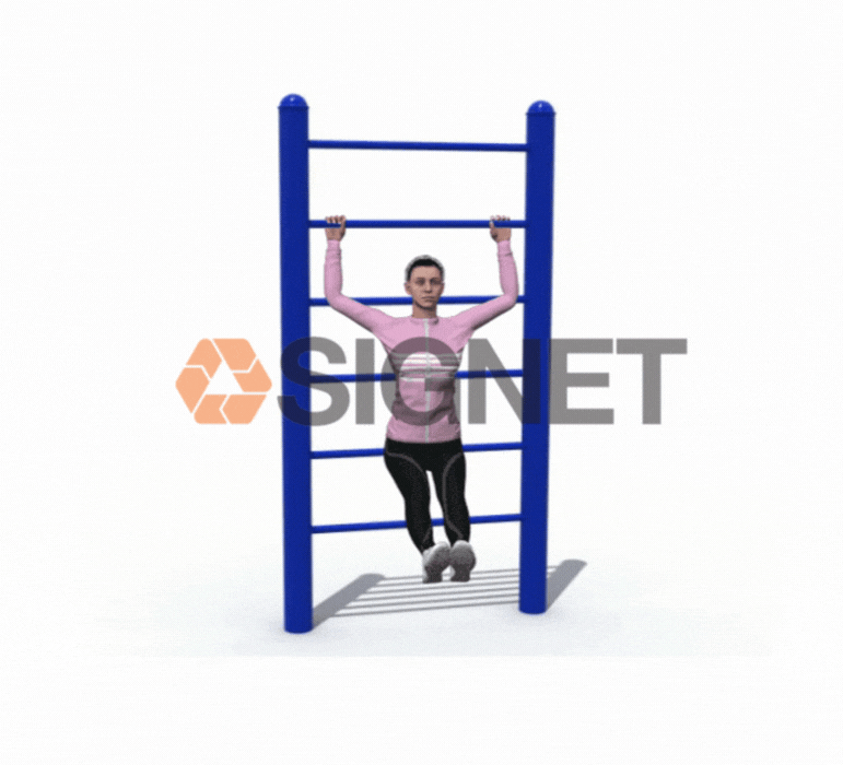 Escalera Vertical - Signet