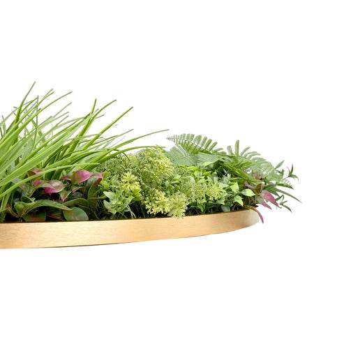 Jardín Vertical Valhalla - Signet