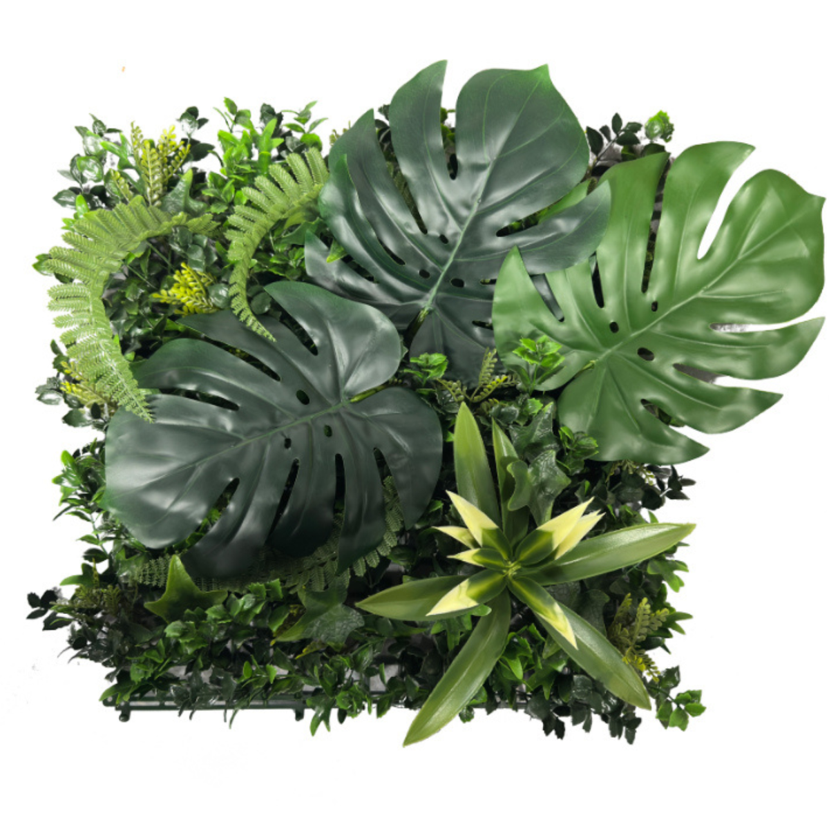 Jardín Vertical Monstera 38 x 38 cm