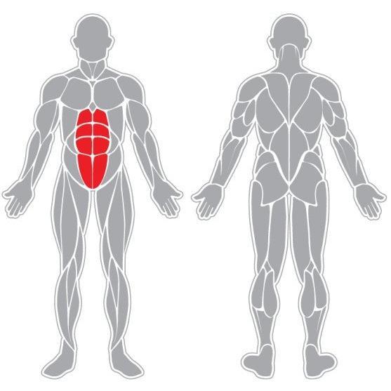 Banca Abdominales Signet Signet
