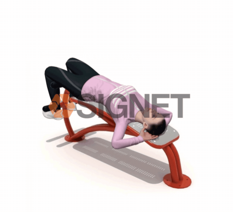 Banca Abdominales Signet Signet