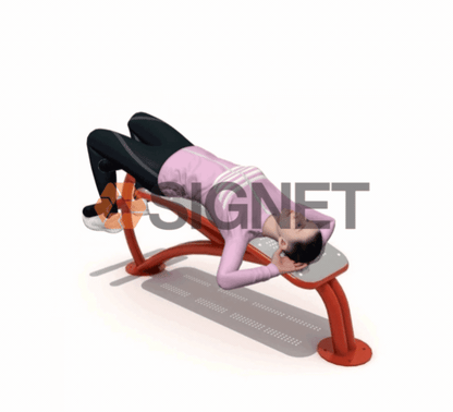 Banca Abdominales Signet Signet
