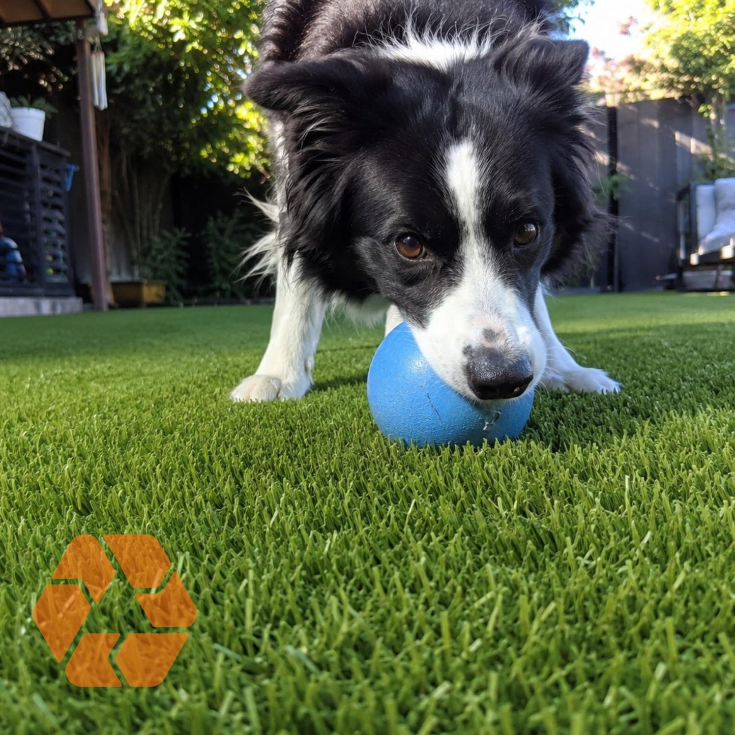 Perro jugando con una pelota sobre pasto sintético de 35mm, resistente, ecológico y de apariencia natural para tu jardín.