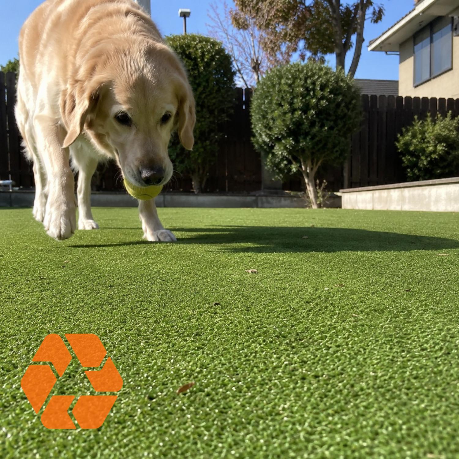 Perro jugando sobre pasto sintético verde de 7mm, resistente, ecológico y con protección UV para exteriores.