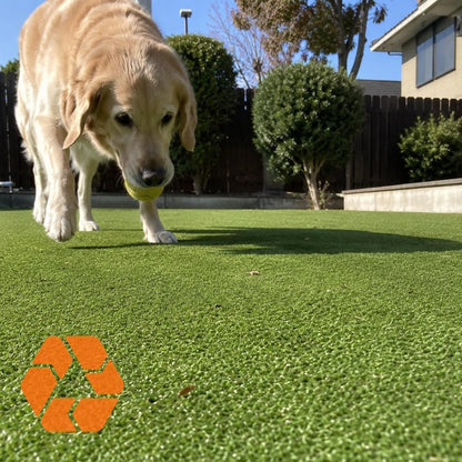 Perro jugando sobre pasto sintético verde de 7mm, resistente, ecológico y con protección UV para exteriores.