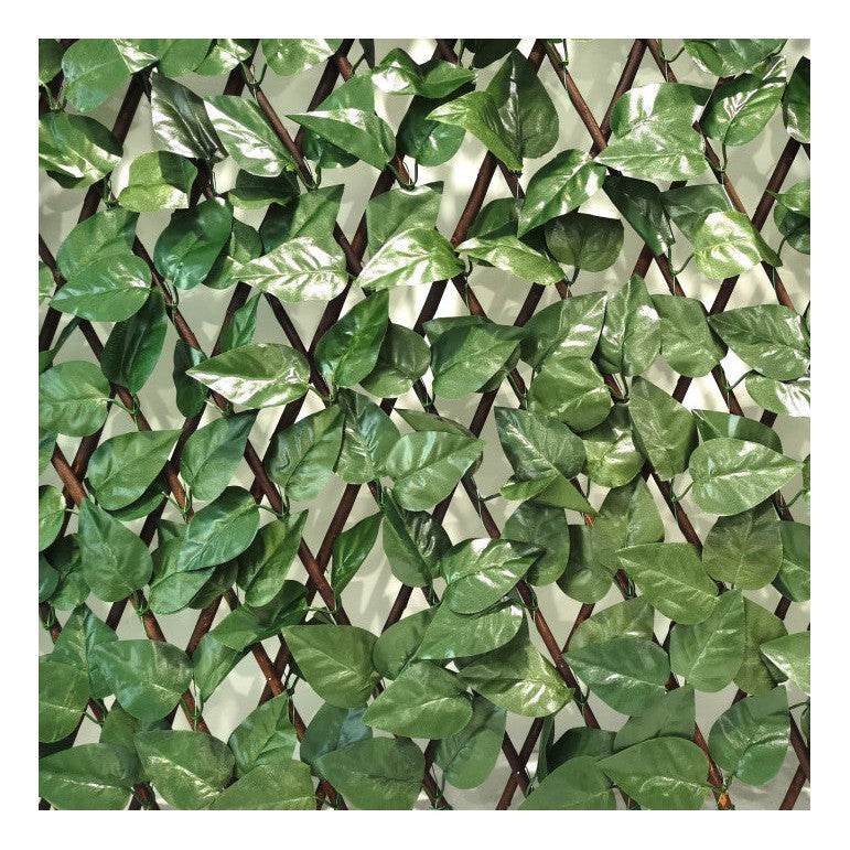 Valla Artificial Pared Laurel - Signet