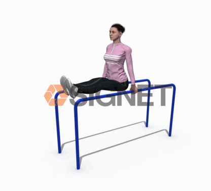 Barras Paralelas - Signet