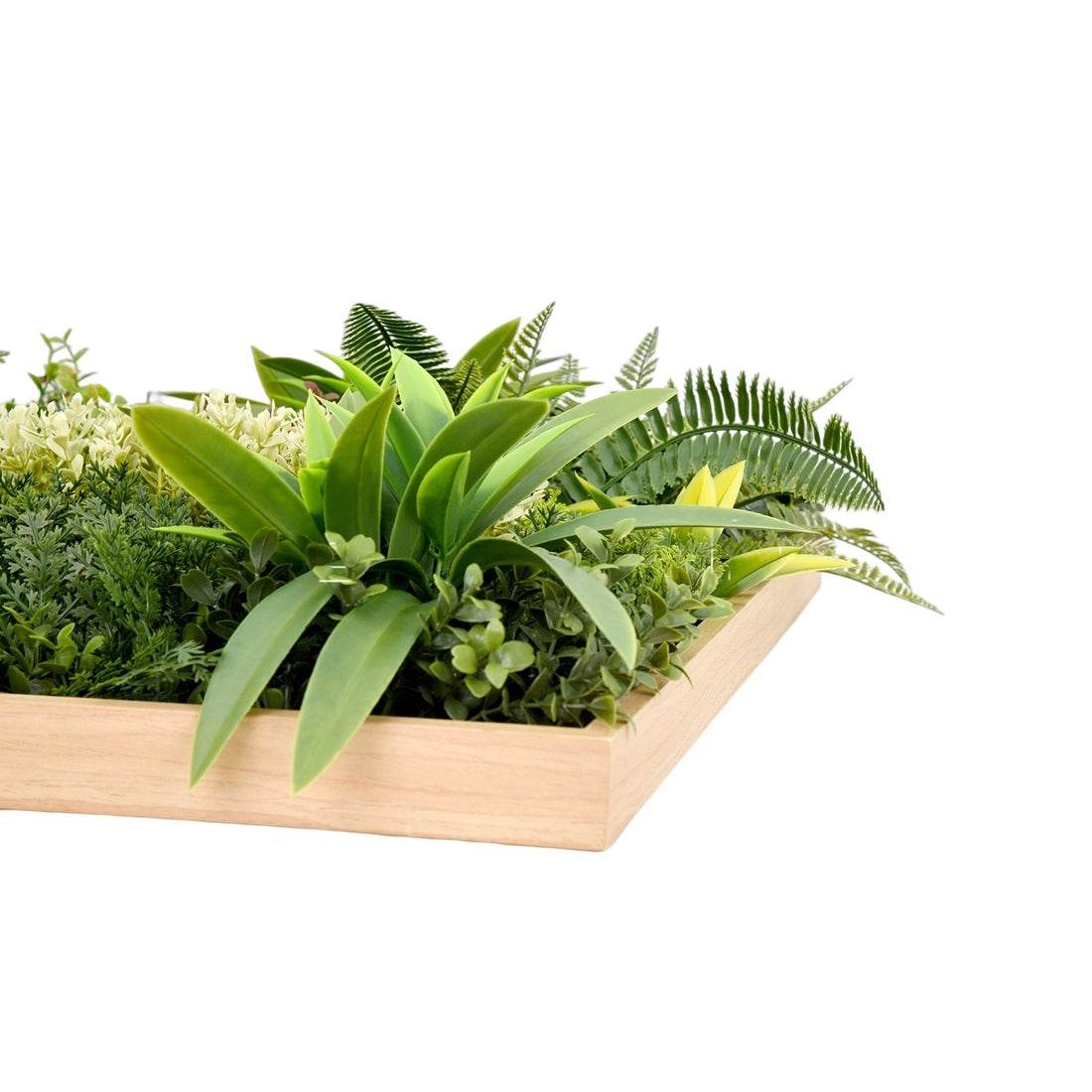 Jardín Vertical Irlanda - Signet