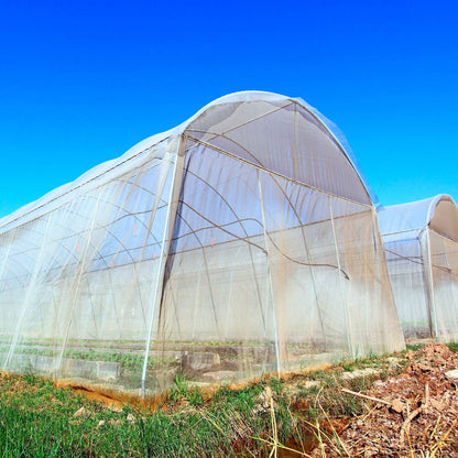 Malla Antiáfido 50 Mesh 125g 5x100 Metros - Signet